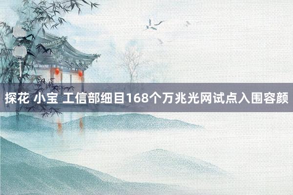探花 小宝 工信部细目168个万兆光网试点入围容颜