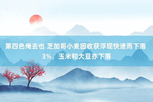 第四色俺去也 芝加哥小麦因收获浮现快速而下落 3%，玉米和大豆亦下落