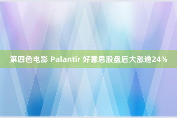 第四色电影 Palantir 好意思股盘后大涨逾24%